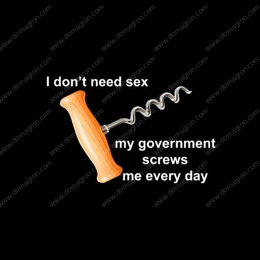 I Dont Need Sex My Government Screws Me Every Day Shirt Direct To