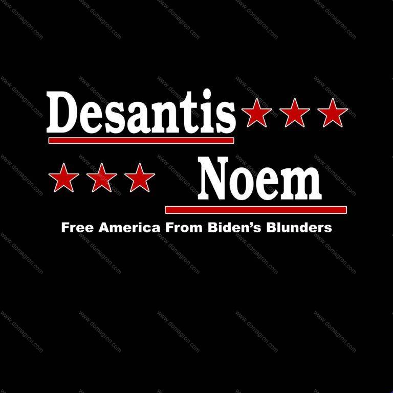 Desantis Noem 2024 Shirt Ver 2 Direct to Film (DTF) Heat Transfer D-481