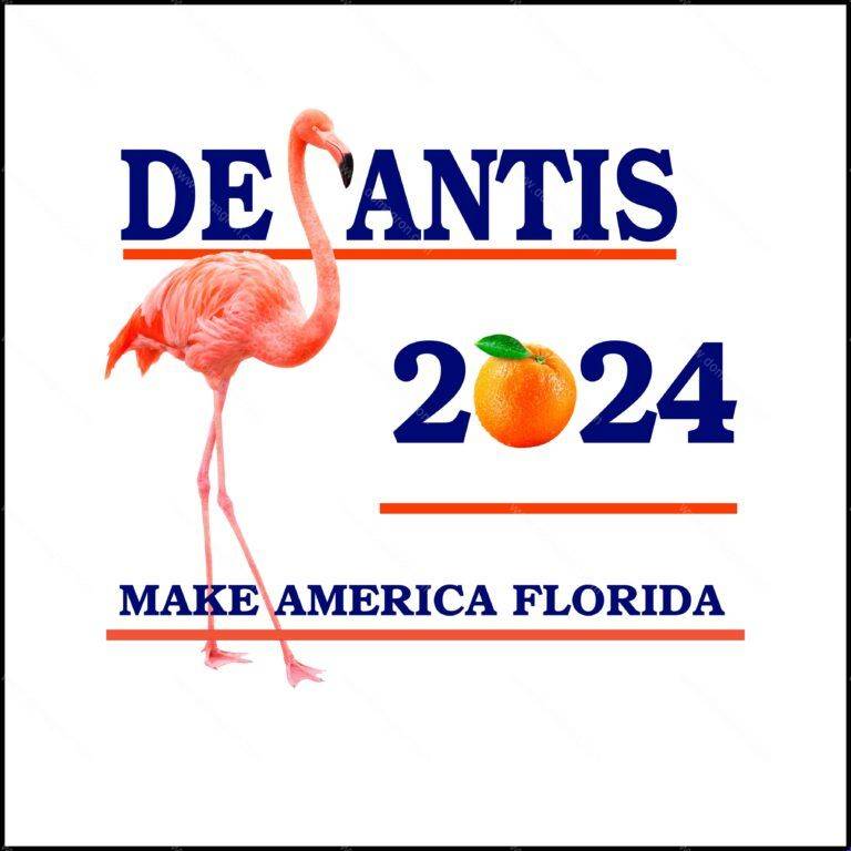Desantis Make America Florida Shirt Direct to Film (DTF) Heat Transfer D-484