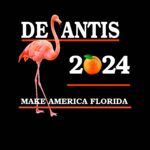 Desantis Make America Florida Shirt Direct to Film (DTF) Heat Transfer D-484