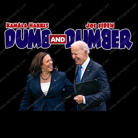 Joe Biden Kamala Harris Dumb and Dumber  Metal Photo B-486