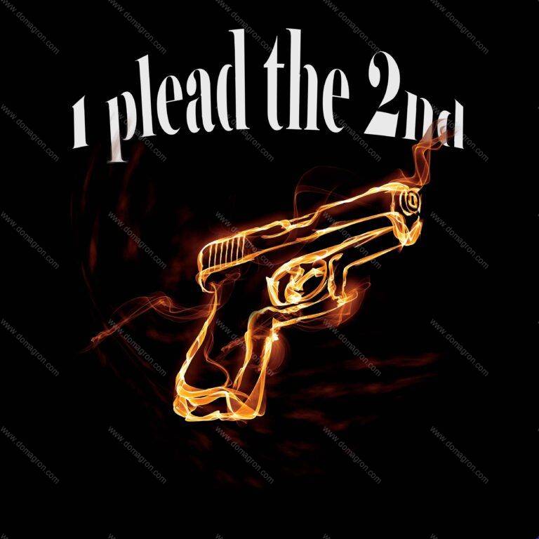 I plead the 2nd Direct to Film (DTF) Heat Transfer N-81