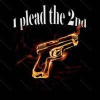 I plead the 2nd  Direct to Film (DTF) Heat Transfer N-81