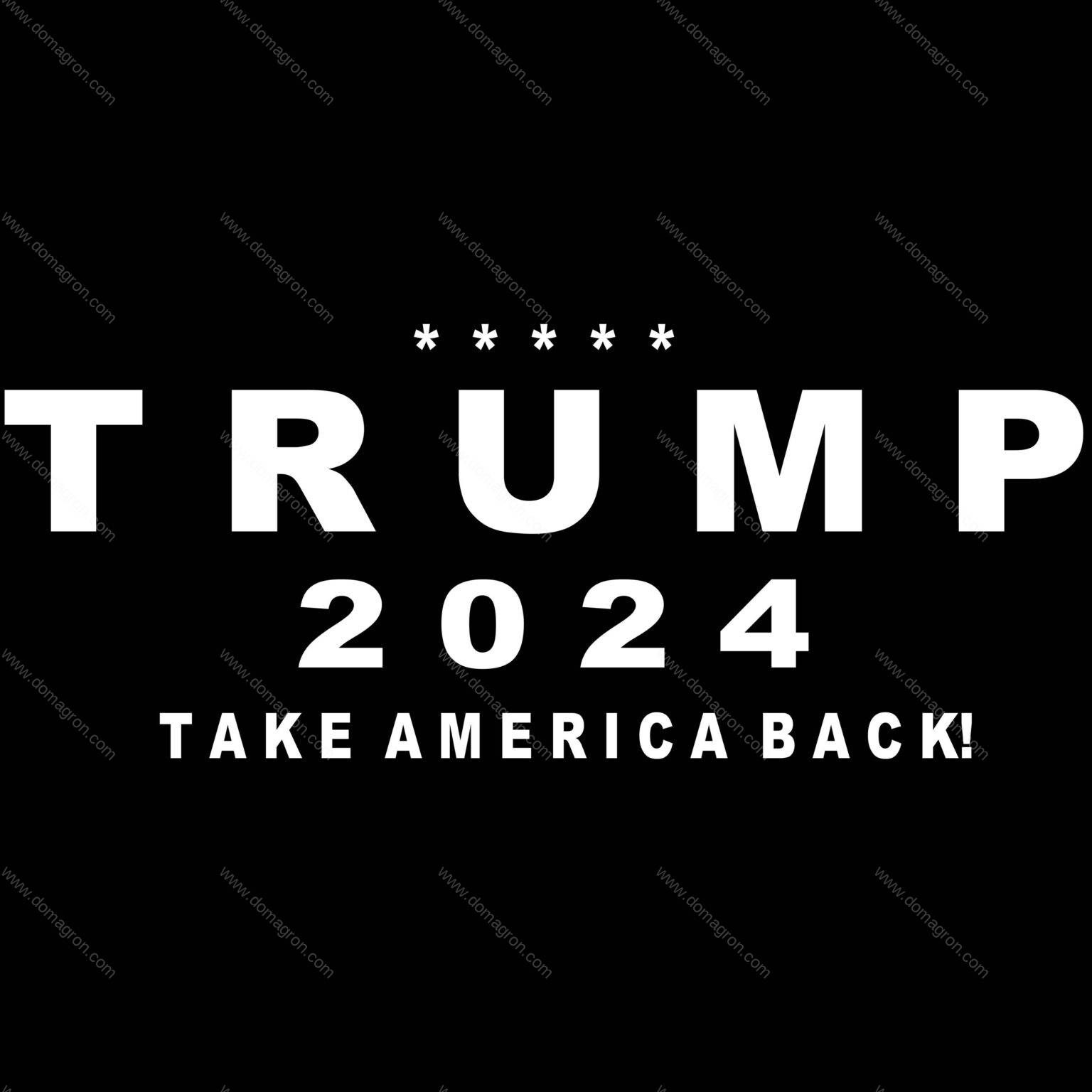 Trump 2024 Take America Back! Direct to Film (DTF) Heat Transfer