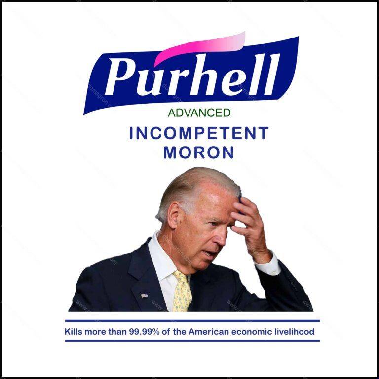 Purhell Anti Biden Direct to Film (DTF) Heat Transfer B-167