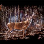 Deer Scene License Plate
