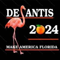 Desantis 2024 Make America Florida License Plate