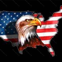 Eagle in Flag License Plate