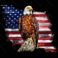 Eagle with Flag Patriotic License Plate