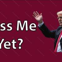Miss Me Yet License Plate