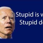 Stupid is What Stupid Does Anti Biden License Plate