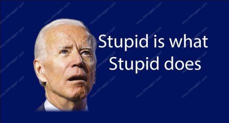 Stupid is What Stupid Does Anti Biden License Plate