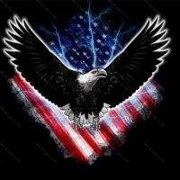 Eagle with Graphic Flag License Plate