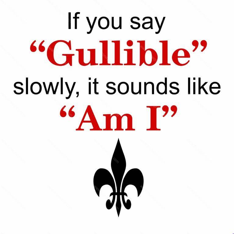 If You Say Gullible, It Sounds Like Am I Direct to Film (DTF) Heat Transfer S-116
