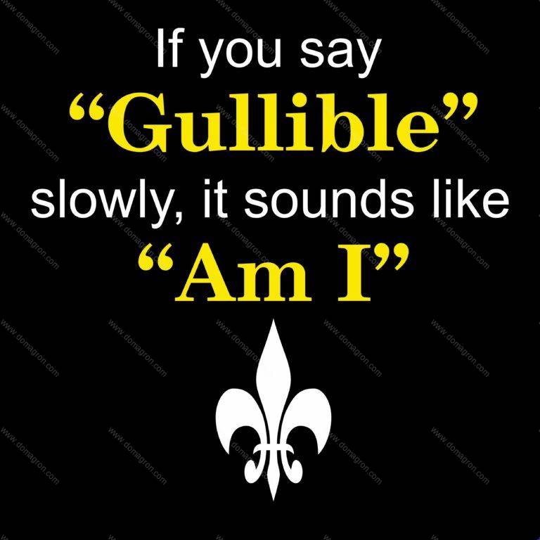If You Say Gullible, It Sounds Like Am I Direct to Film (DTF) Heat Transfer S-116
