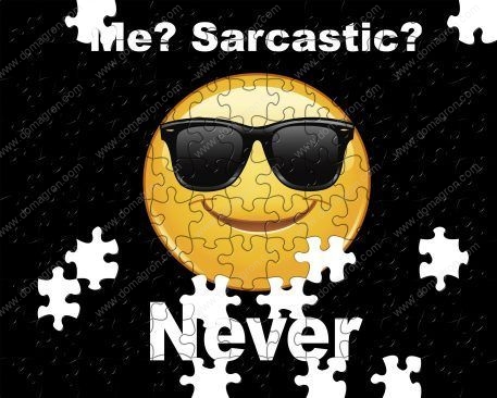 Me? Sarcastic? Never Puzzle