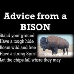 Advice from a Bison Shirt Direct to Film (DTF) Heat Transfer P-3