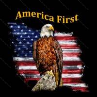 America First Metal Photo U-314