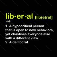 Definition of a Liberal Metal Photo E-353