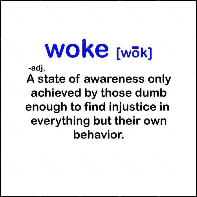 Definition of Woke Shirt Direct to Film (DTF) Heat Transfer E-429