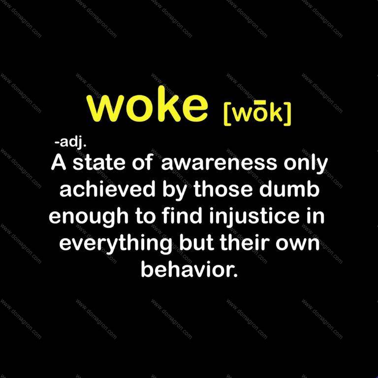 Definition of Woke Shirt Direct to Film (DTF) Heat Transfer E-429