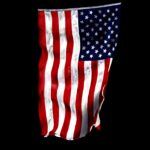 American Flag Direct to Film (DTF) Heat Transfer U-209