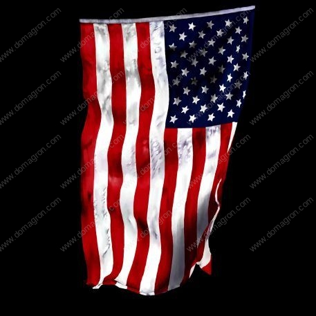 American Flag Direct to Film (DTF) Heat Transfer U-209