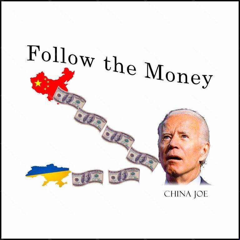 Follow the money ~ China Joe Shirt Direct to Film (DTF) Heat Transfer B-372