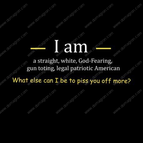 I am a straight, white, God-fearing, gun toting, legal patriotic American. What else can I be to piss you off more? Shirt Direct to Film (DTF) Heat Transfer S-364