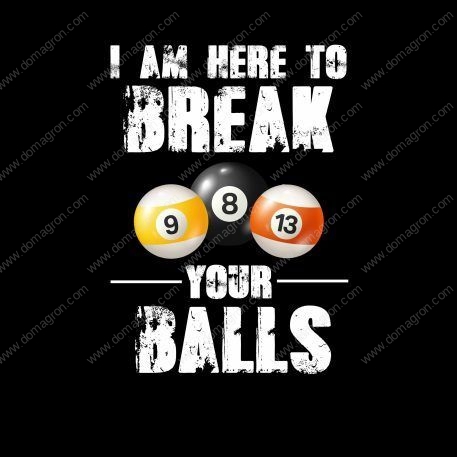 I Am Here To Break Your Balls Billiards  Metal Photo S-453