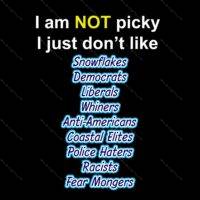 I am not picky  Direct to Film (DTF) Heat Transfer S-300