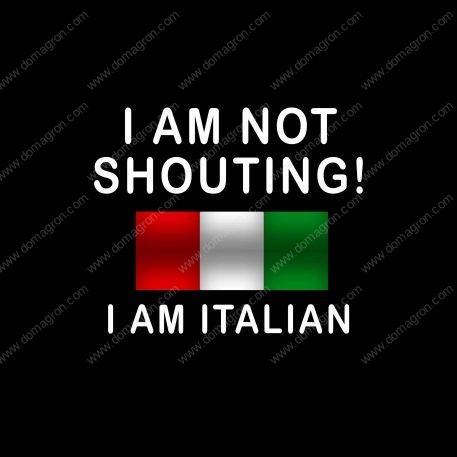 I Am Not Shouting I Am Italian  Metal Photo S-60