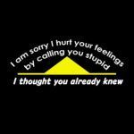 I am Sorry I Hurt Your Feelings by Calling You Stupid - I thought You Already Knew Shirt Direct to Film (DTF) Heat Transfer S-392