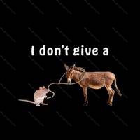 I Don't Give a Rat's Ass  Metal Photo S-65