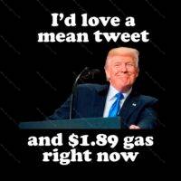I'd Love A Mean Tweet and $1.89 Gas Right Now Metal Photo T-425