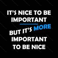It's nice to be important, but it's more important to be nice shirt Direct to Film (DTF) Heat Transfer Q-316