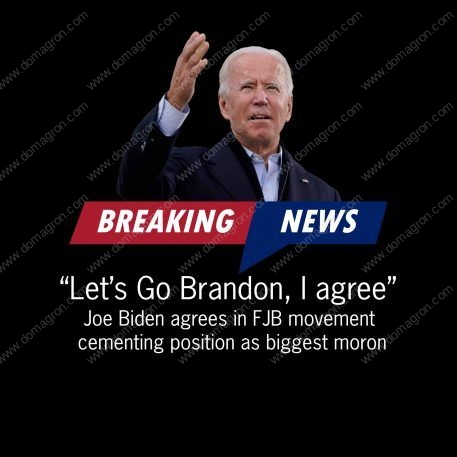 Joe Biden Agrees Lets Go Brandon Anti-Biden Shirt Direct to Film (DTF) Heat Transfer B-451