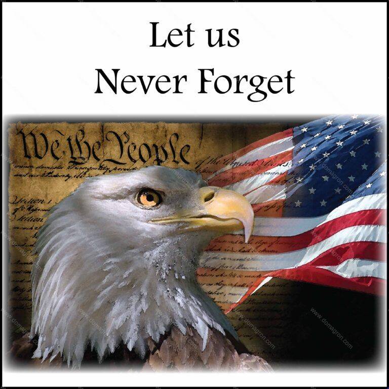Let us Never Forget US Constitution Direct to Film (DTF) Heat Transfer U-129