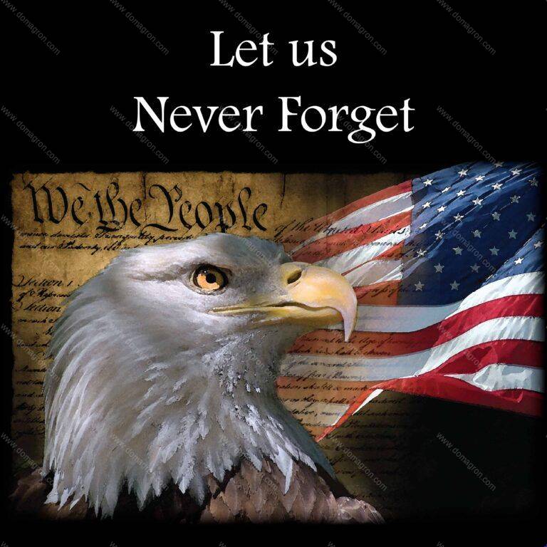 Let us Never Forget US Constitution Direct to Film (DTF) Heat Transfer U-129