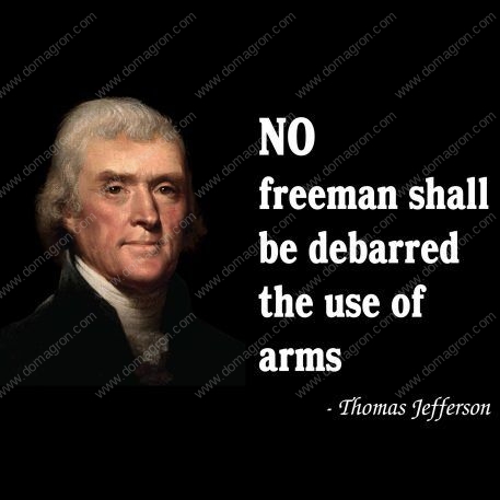 No Freeman Shall Be Disbarred the Use of Arms- Thomas Jefferson Quote Shirt Direct to Film (DTF) Heat Transfer Q-566