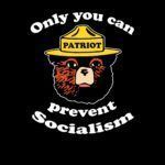 Only You Can Prevent Socialism Smokey the Bear  Metal Photo P-157