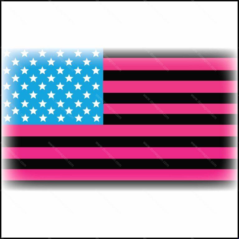 Straight Pride Direct to Film (DTF) Heat Transfer W-243