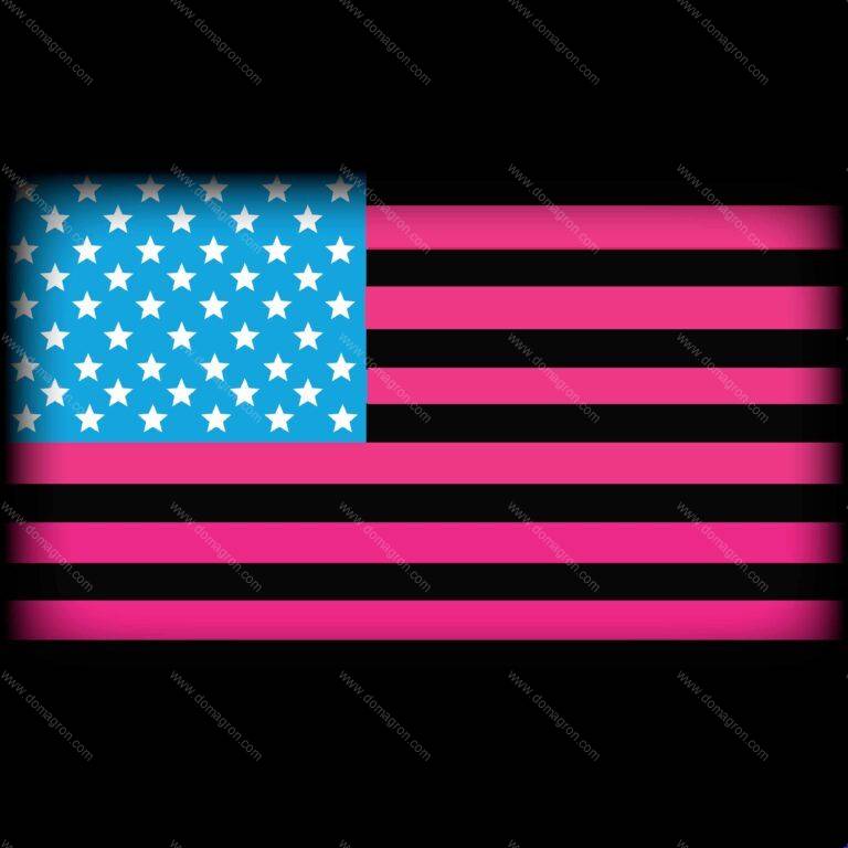 Straight Pride Direct to Film (DTF) Heat Transfer W-243