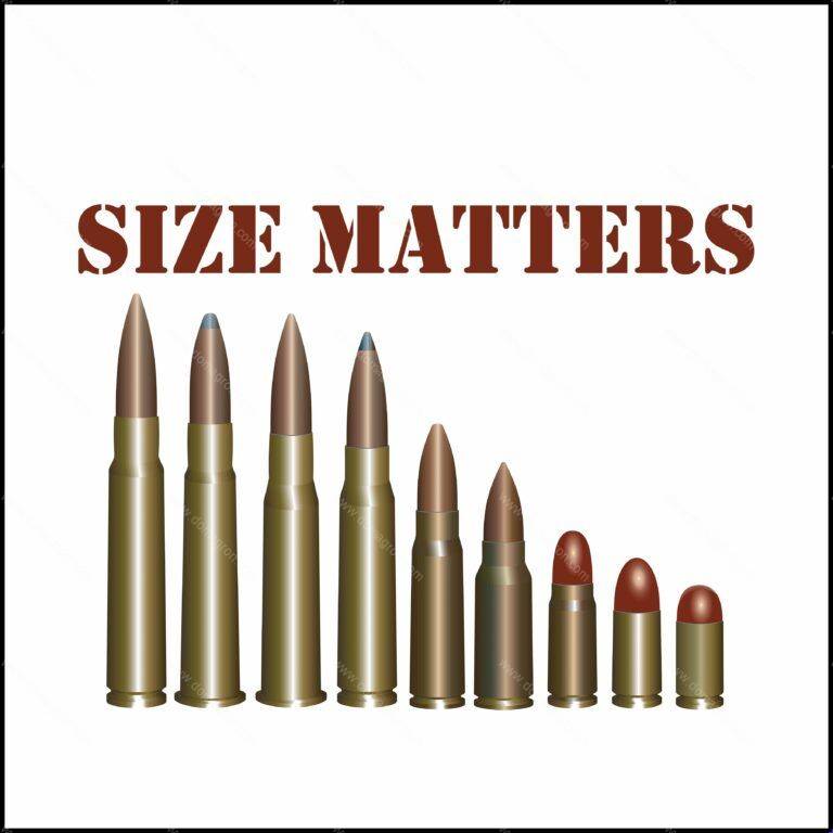 Size Matters - Second Amendment Supporter Shirt Direct to Film (DTF) Heat Transfer N-305