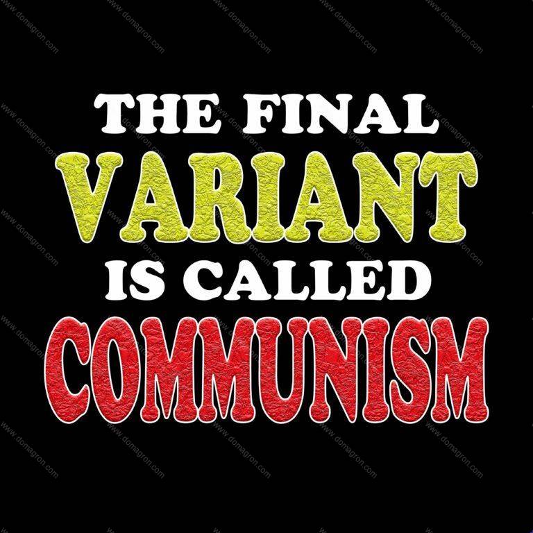 The Final Variant is Communism Shirt Direct to Film (DTF) Heat Transfer S-440