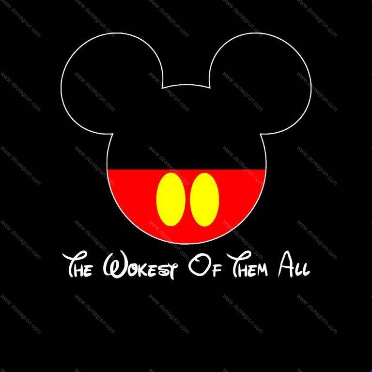 Disney – The Wokest of Them All Woke Shirt Direct to Film (DTF) Heat Transfer P-485