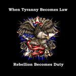 When Tyranny Becomes Law, Rebellion Becomes Duty Shirt Direct to Film (DTF) Heat Transfer U-382