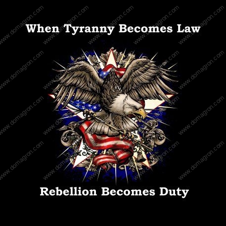 When Tyranny Becomes Law, Rebellion Becomes Duty  Metal Photo U-382