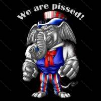 We are Pissed - Republican Shirt Direct to Film (DTF) Heat Transfer P-247