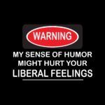 Warning - My Sense of Humor Might Hurt Your Liberal Feelings Direct to Film (DTF) Heat Transfer S-446